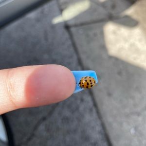 Meet your Posher, Rubi